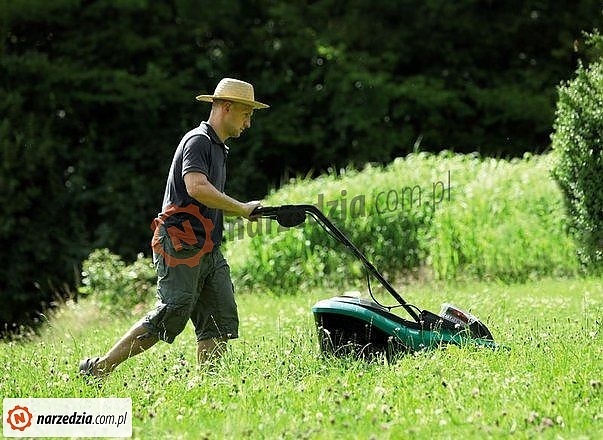 Koszenie trawy - co ogrodnik wiedzieć powinien | Narzedzia.pl