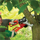 Pilarka łańcuchowa  do gałęzi BlackDecker GK1000