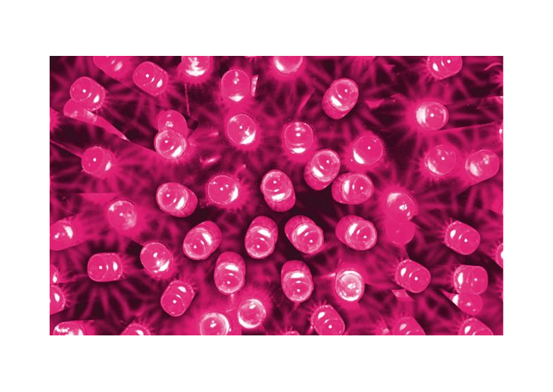 Lampki choinkowe Bulinex 37-194