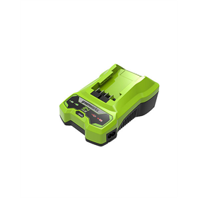Ładowarka 24 V Greenworks G24C
