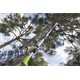 Pilarka łańcuchowa na wysięgniku Greenworks G40PSF