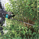Nożyce do żywopłotu Makita XGT UH004GZ