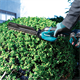 Nożyce do żywopłotów Makita XGT UH023GD101 1x2.5Ah
