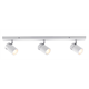 Oprawa punktowa 3-elementowa Spotlight Zyli Paulmann 66713