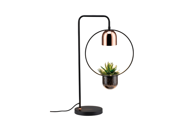 Lampa stołowa Neordic Fanja Paulmann 79746