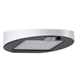Czujnik ruchu kinkiet Outdoor Solar Ryse Paulmann 94247