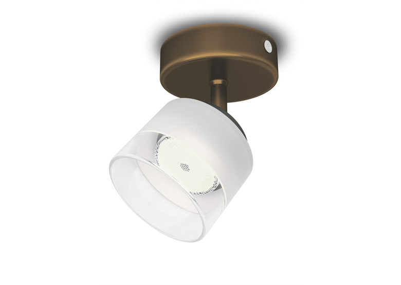 Lampa przysufitowa LED Fremont Philips 533300616