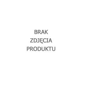 Papier ścierny do frezarki TFS-100/30 ziarnistość 100 Proma 25049003