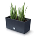 Skrzynka RATO CASE - antracytowy Prosperplast DRC600-S433