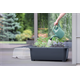 Szklarnia RESPANA PLANTER SET - antracytowy Prosperplast DREP770W-S433