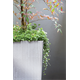 Doniczka RATO SQUARE - antracytowy Prosperplast DRTS300-S433