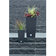 Doniczka RATO SQUARE - antracytowy Prosperplast DRTS300-S433
