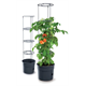 Doniczka do pomidorów 28l Prosperplast TOMATO GROWER antracyt