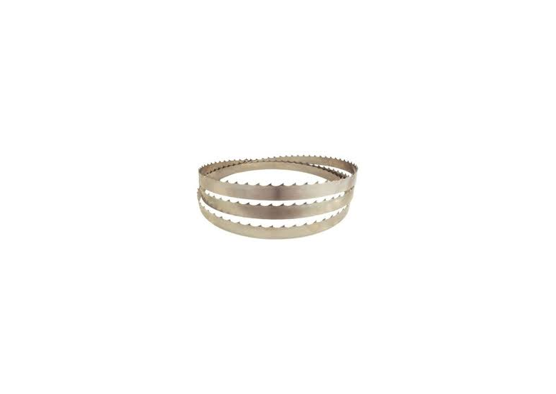 Brzeszczot taśmowy do HBS300 6x0,5mm 6Z Scheppach SCH3901502702