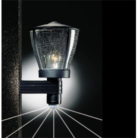 Lampa naścienna L 430 C Steinel ST612818